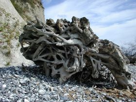 rügen_548.JPG